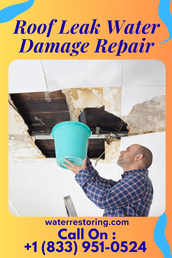 Roof Leak Water Damage Repair in Redfield, TX